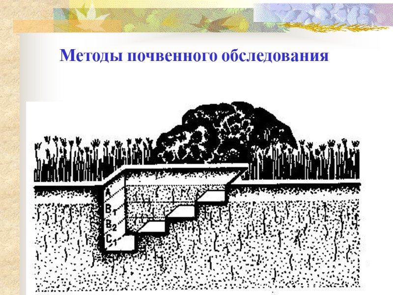 Методы почвенного обследования